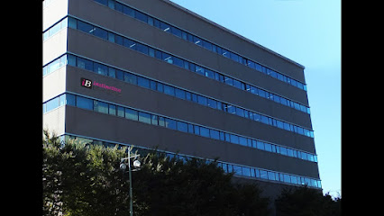 united-kingdom-durham-instinctive-branding-1743582494.jpg