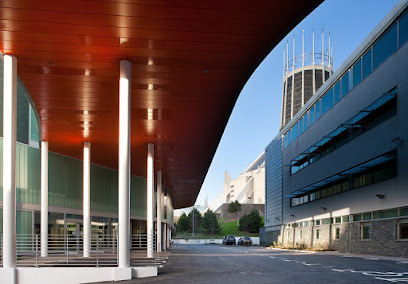 united-kingdom-liverpool-turtle-media-1743630975.jpg